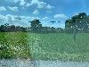 202407_Thanhhoa/20240708-080357-0.JPG 1482KB