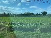 202407_Thanhhoa/20240708-080414-0.JPG 1544KB