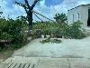 202407_Thanhhoa/20240708-082218-0.JPG 1156KB