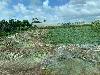202407_Thanhhoa/20240708-082220-1.JPG 1645KB