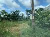 202407_Thanhhoa/20240708-082600-0.JPG 1564KB