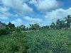 202407_Thanhhoa/20240708-082610-0.JPG 1285KB