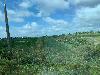 202407_Thanhhoa/20240708-082640-0.JPG 1359KB