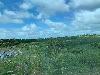 202407_Thanhhoa/20240708-082642-0.JPG 1243KB