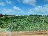 202407_Thanhhoa/20240708-082914-0.JPG 1482KB