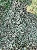 202407_Thanhhoa/20240708-083159-0.JPG 3971KB