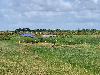 202407_Thanhhoa/20240708-083425-0.JPG 1365KB