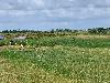 202407_Thanhhoa/20240708-083428-0.JPG 1411KB