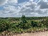 202407_Thanhhoa/20240708-083743-0.JPG 2251KB