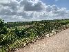 202407_Thanhhoa/20240708-083749-0.JPG 2236KB