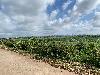 202407_Thanhhoa/20240708-083752-0.JPG 1987KB