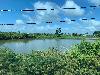 202407_Thanhhoa/20240708-084304-0.JPG 1371KB