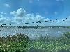 202407_Thanhhoa/20240708-084409-0.JPG 1253KB