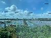 202407_Thanhhoa/20240708-084420-0.JPG 1434KB
