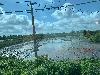 202407_Thanhhoa/20240708-084446-0.JPG 1655KB