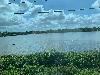202407_Thanhhoa/20240708-084451-0.JPG 1549KB