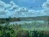 202407_Thanhhoa/20240708-084536-0.JPG 1497KB