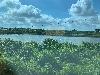 202407_Thanhhoa/20240708-084601-0.JPG 1499KB