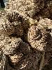 202407_Thanhhoa/20240708-085556-0.JPG 2161KB