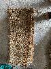 202407_Thanhhoa/20240708-085723-0.JPG 2479KB