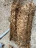 202407_Thanhhoa/20240708-085729-0.JPG 2371KB