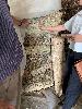 202407_Thanhhoa/20240708-090435-0.JPG 1758KB