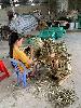 202407_Thanhhoa/20240708-090619-0.JPG 1723KB