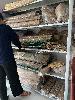 202407_Thanhhoa/20240708-091953-0.JPG 1533KB