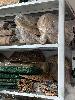 202407_Thanhhoa/20240708-092004-0.JPG 1347KB