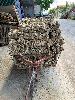 202407_Thanhhoa/20240708-092228-0.JPG 2327KB