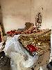 202407_Thanhhoa/20240708-093124-0.JPG 1363KB
