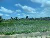 202407_Thanhhoa/20240708-122224-0.JPG 1269KB