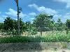 202407_Thanhhoa/20240708-122228-0.JPG 1468KB