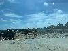 202407_Thanhhoa/20240708-141034-0.JPG 1133KB