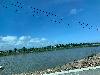 202407_Thanhhoa/20240708-141143-0.JPG 1196KB