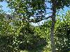 202407_Thanhhoa/20240708-141232-0.JPG 2673KB