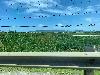 202407_Thanhhoa/20240708-143037-0.JPG 1414KB