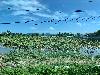 202407_Thanhhoa/20240708-143101-0.JPG 2135KB
