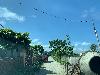 202407_Thanhhoa/20240708-143531-0.JPG 1194KB