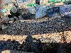 202407_Thanhhoa/20240708-145715-0.JPG 2533KB