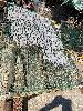 202407_Thanhhoa/20240708-150033-0.JPG 3142KB
