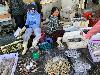 202407_Thanhhoa/20240708-150401-0.JPG 1690KB