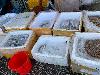 202407_Thanhhoa/20240708-150501-0.JPG 1434KB