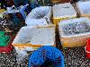 202407_Thanhhoa/20240708-150503-0.JPG 1678KB