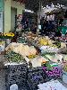 202407_Thanhhoa/20240708-151325-0.JPG 1687KB