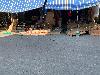 202407_Thanhhoa/20240708-151539-0.JPG 1621KB