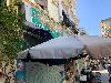 202407_Thanhhoa/20240708-151603-0.JPG 1428KB