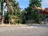 202407_Thanhhoa/20240709-074600-0.JPG 2053KB