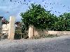 202407_Thanhhoa/20240709-074837-0.JPG 1670KB