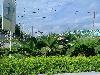 202407_Thanhhoa/20240709-075905-0.JPG 1526KB